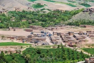 راسکRASC: منابع محلی در شهرستان کجران استان دایکندی می‌گویند که یک زن ۴۰ ساله از سوی افراد ناشناس به ضرب گلوله به قتل رسیده‌است. منبع محلی که نمی‌خواهد هویت‌اش در خبر ذکر شود، می‌گوید که این روی‌داد حوالی ساعت ۱۲:۰۰ چاشت روز گذشته چهارشنبه، ۱۱ مرداد/اسد در روستای «زرد کلان» شهرستان کجران رخ داده‌است. منبع می‌گوید که قربانی این روی‌داد یک زن ۴۰ ساله به‌نام«فاطمه» باشنده‌ی همین شهرستان بوده که در خانه‌اش تیرباران شده‌است. به نقل از این منبع، فرد مسلح ناشناس وارد خانه‌ی شخصی به‌نام«علی‌اصغر» شده و همسر وی را به گلوله بسته‌است. منبع به نقل از مسوولان امنیتی گروه طالبان می‌گوید که ۶ فیر مرمی کلاشینکوف در بدن این زن اصابت کرده که وی در اثر آن جان باخته‌است. به گفته‌ی منبع، قاتل پس از این روی‌داد از ساحه موفق به فرار شده و اکنون نیز گم است. در همین حال، یک منبع معتبر دیگر نیز می‌گوید که تا اکنون انگیزه‌ی قتل این زن مشخص نیست و تحقیقات از سوی نیروهای گروه طالبان در این زمینه جریان دارد. این منبع می‌گوید: «تنور خصومت‌های شخصی در این شهرستان خیلی داغ است و بیش‌تر منشای قضایای این‌چنینی خصومت‌های شخصی است.» این منبع می‌گوید که علی اصغر، شوهر فاطمه، یک فرد ملکی بوده و شغل آزاد دارد. این درحالی است که در این اواخر قتل‌ها و خودکشی‌های زنان و دختران در برخی از استان‌های کشور به شدت افزایش یافته‌است. بر اساس گزارش‌ها، عوامل اصلی بروز این روی‌دادها خشونت‌های ناشی از فقر اقتصادی شدید و بی‌کاری شهروندان کشور دانسته می‌شود.