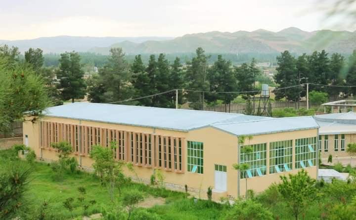 ‌لت‌و‌کوب یک دانش‌جو دانشگاه فاریاب از سوی یک عضو گروه طالبان