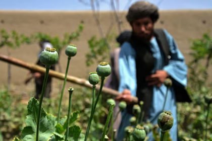 نهاد «کاهش آسیب بین‌المللی»: امریکا و اروپا به گروه طالبان کمک مالی کرده‌است