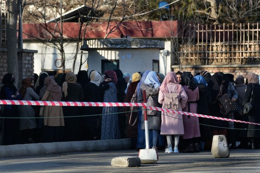 ستانکزی: تحصیل پدیدهیاست که هیچ کسی نمیتواند شما را از آن محروم کند