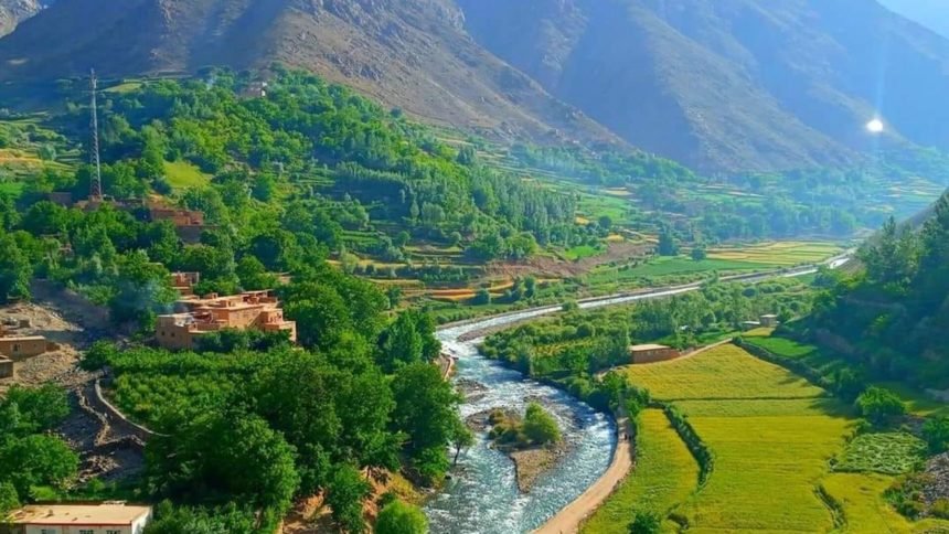 یک عالم دین از سوی گروه طالبان در استان پنجشیر بازداشت شد