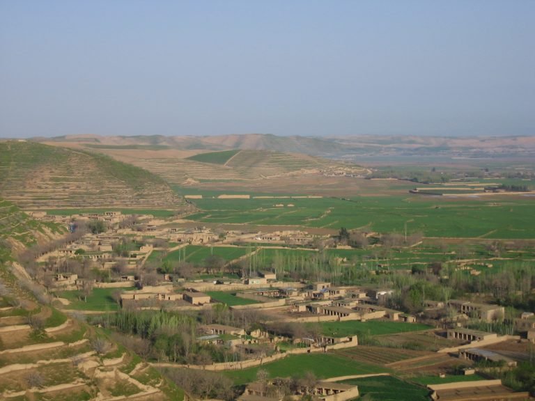 به‌قتل‌رسیدن یک محافظ شرکت مخابراتی افغان‌بیسیم در استان فاریاب