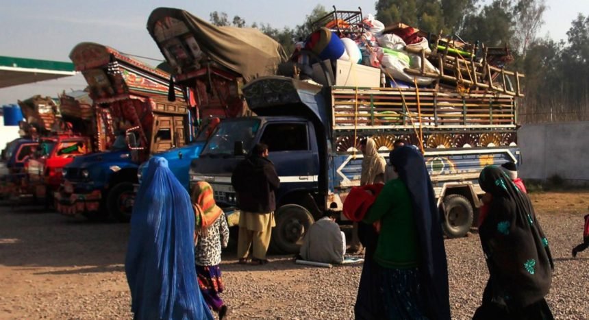 گروه طالبان از کمک ۱۴۲ میلیون یورویی اتحادیه‌ی اروپا برای مهاجران اخراج‌شده از پاکستان خبر دادند