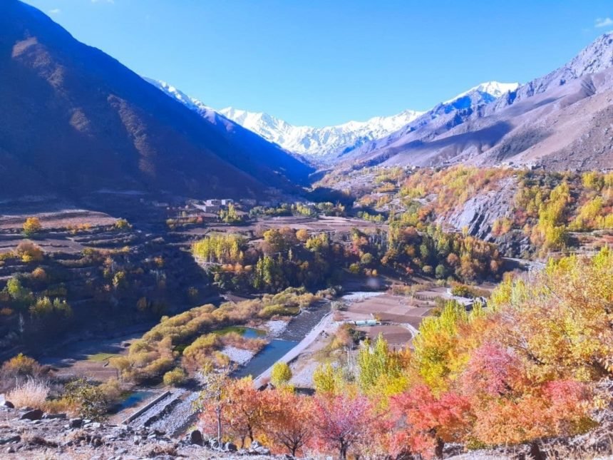 یک نظامی پیشین بواسطه‌ی گروه طالبان در استان پنج‌شیر بازداشت شد