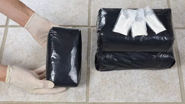 گروه طالبان از تخریب سه کارخانه‌ی تولید موادمخدر در سه استان کشور خبر دادند