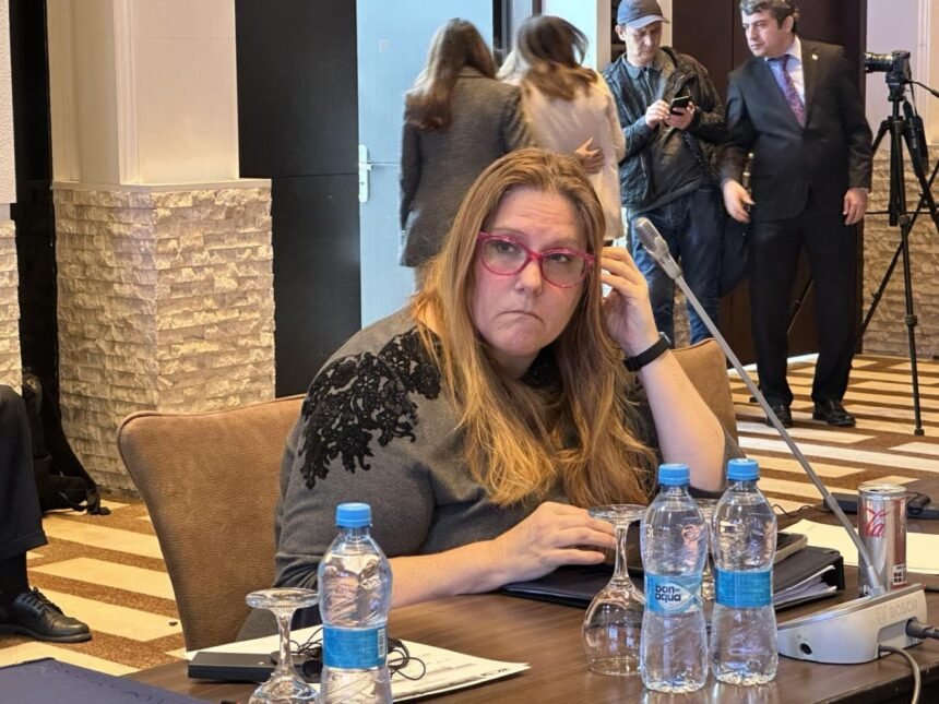 کرن دیکر آمریکا را بزرگ‌ترین کمک‌کننده‌ی بشردوستانه به افغانستان خواند