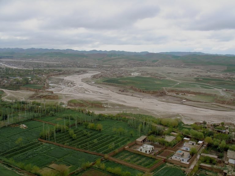 طالبان سه تن را در استان بادغیس بازداشت کردند