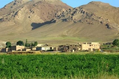 کوچی‌های مسلح در غزنی کشت‌زارهای مردم را تخریب کرده‌اند