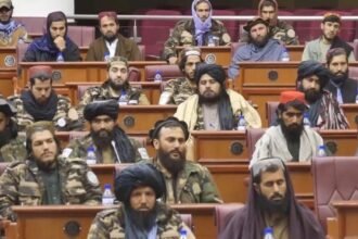 طالبان پاکستان را به سازمان‌دهی حملات تروریستی در افغانستان متهم کرد