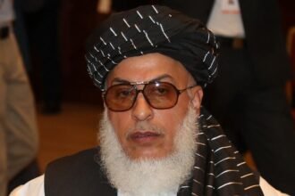 استان‌دار بلخ: استانکزی مجازات شود تا دیگر کسی علیه ملاهبت‌الله حرف نزند