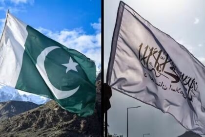 طالبان و پاکستان هردو از تروریست‌ حمایت می‌کنند