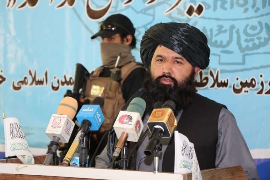 ندیم به طارق علی: نصاب آموزشی و تحصیلی را مطابق ارزش‌های دینی و افغانی(پشتونی) ساختیم