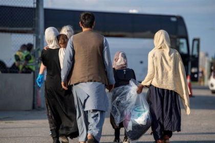 پرونده‌های پناهندگی افغان‌ستانی‌ها در سه‌ماه آخر سال ۲۰۲۴، به ۳۶ درصدکاهش یافته است