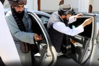 طالبان که در جمهوریت جنگیده‌اند حق دارند موترهای شیشه‌سیاه بگردانند