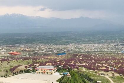 یک عضو گروه طالبان در پروان کشته شد