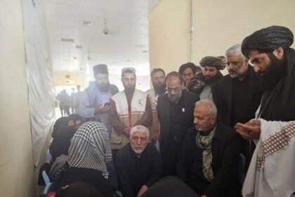 هیئت ایرانی با مهاجران در مرز دوغارون دیدار کرد