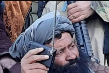 روند سبز: گاوچران بی‌سواد به مقام معاونت استانداری رسید