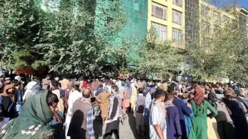 هزاران تن درصف ویزای کار قطر؛ اما نام‌ها از پیش تعیین شده‌اند