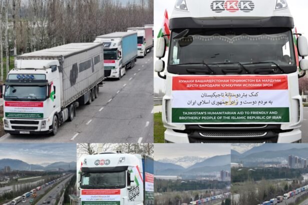 کمک های تاجیکستان به ایران