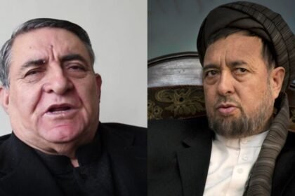 احمد سعیدی - محقق