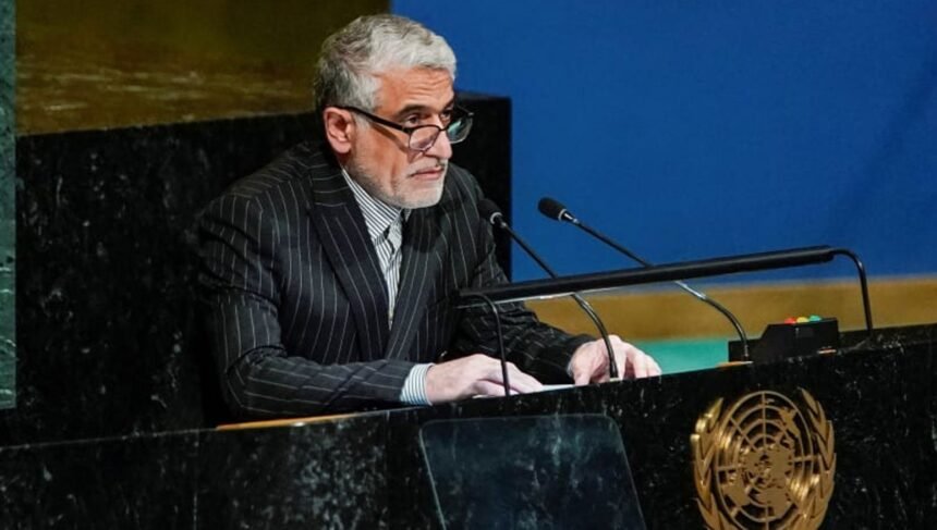 نماینده ایران در سازمان ملل