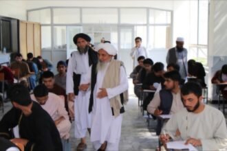 طالبان ساختار دانشگاه