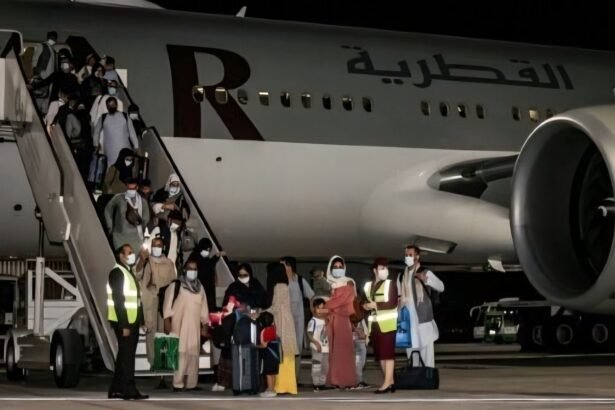 متحدان افغانستانی