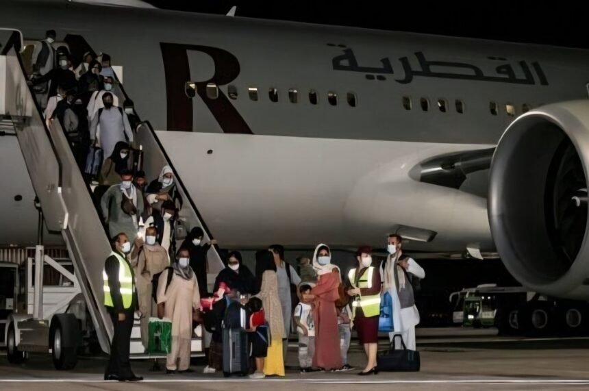 متحدان افغانستانی