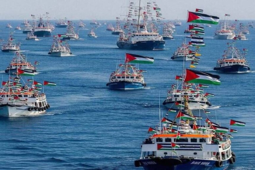 ناوگان