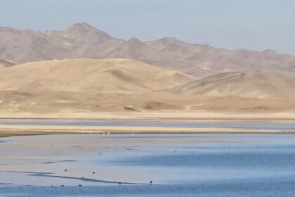 افغانستان پناهگاه پرندگان