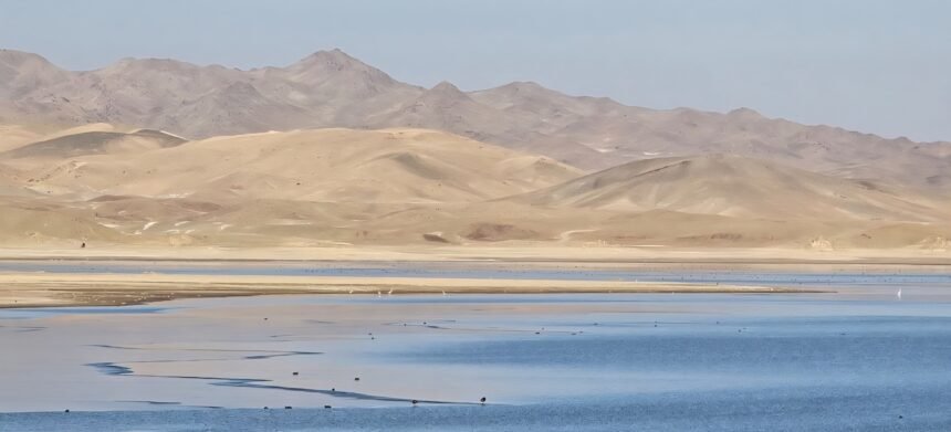افغانستان پناهگاه پرندگان