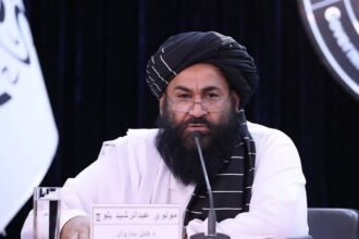 شهردار طالبان