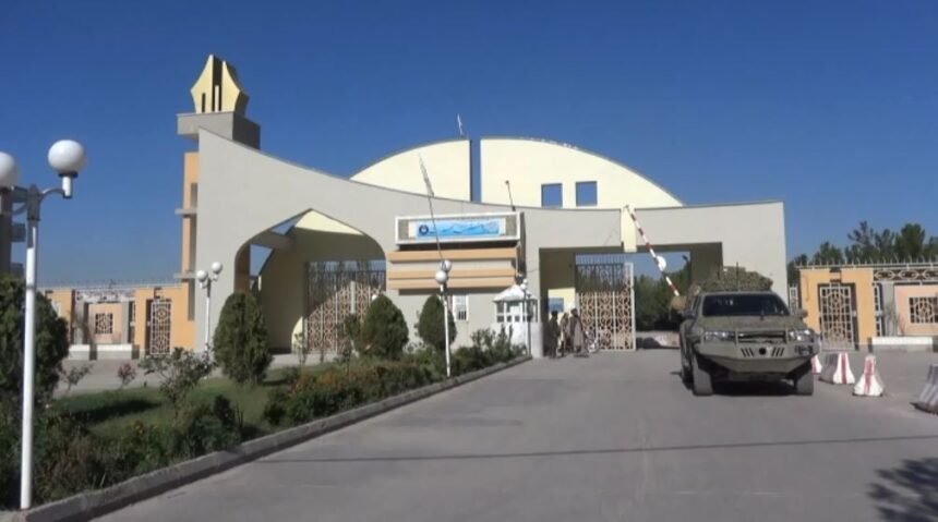 دانشگاه هرات