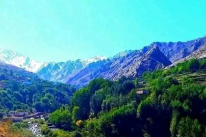 طالبان در پنجشیر پنج باشنده محل را بازداشت کردند و محدودیت‌های شبانه را افزایش دادند 