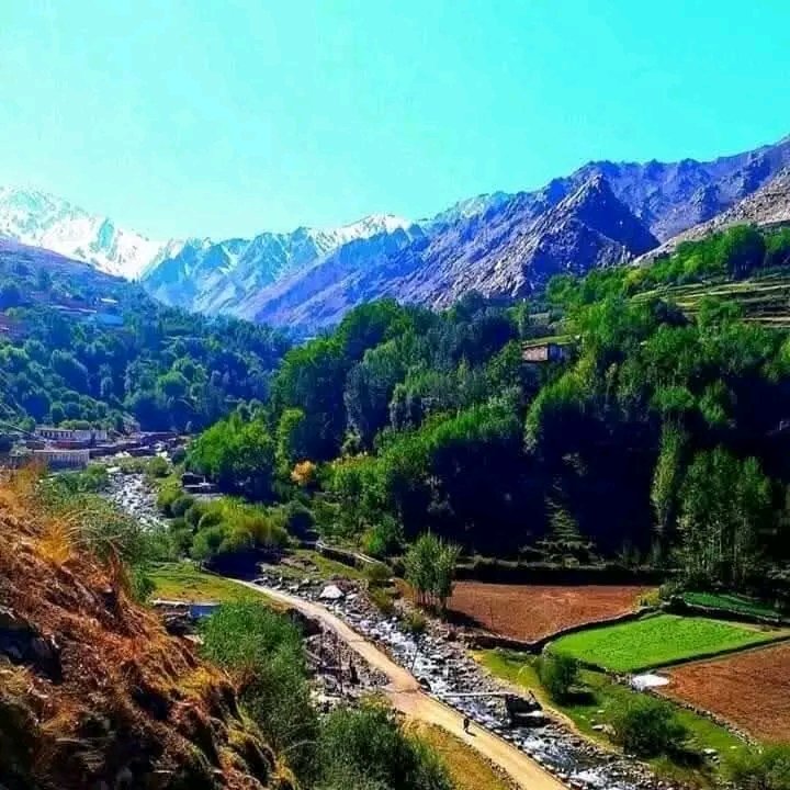 طالبان در پنجشیر پنج باشنده محل را بازداشت کردند و محدودیت‌های شبانه را افزایش دادند 